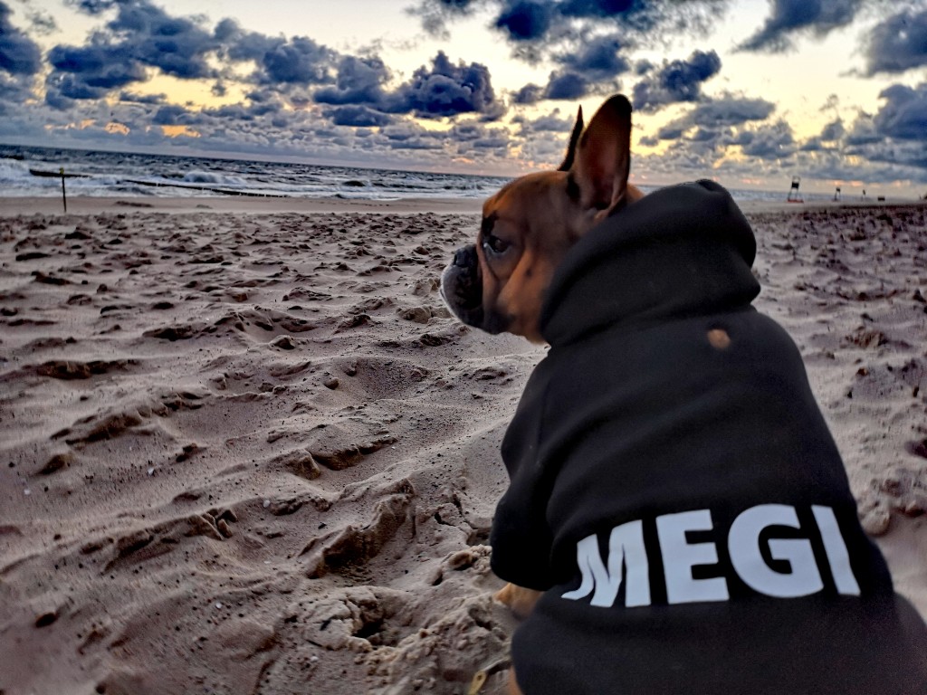 Megi.